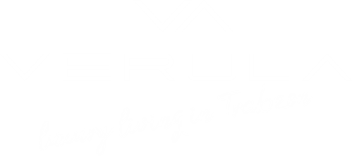 Verulacity Logo